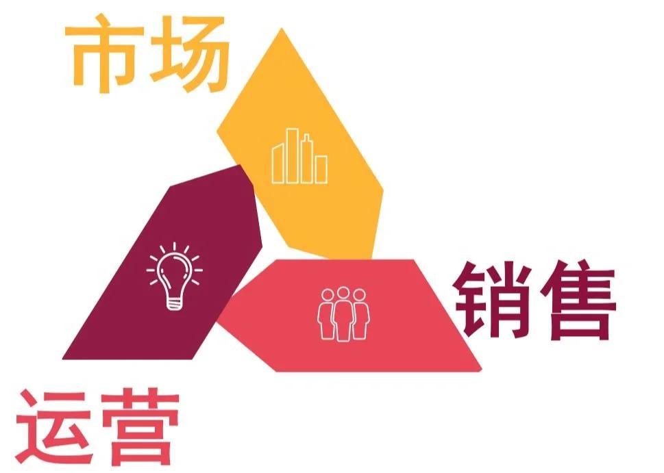 互聯(lián)網(wǎng)銷(xiāo)售 連接、轉(zhuǎn)化與增長(zhǎng)的策略核心